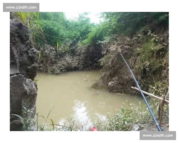 四百钓手扬城逐鹿!第八届 “乐钓江苏” 总决赛落幕 四百钓手扬城逐鹿!第八届 “乐钓江苏” 总决赛落幕